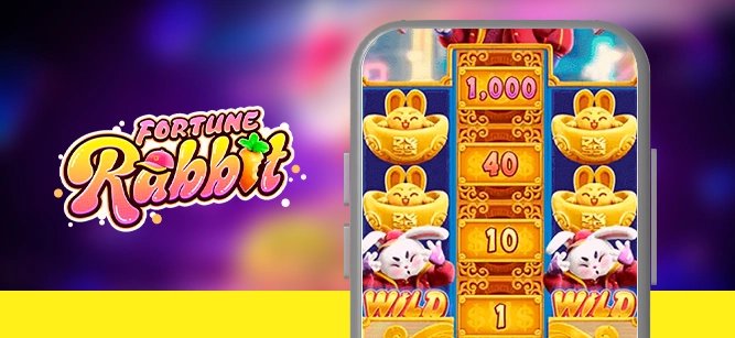 dv slots